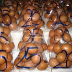 Eier in Tüten auf dem Markt in Chiang Mai / Thailand